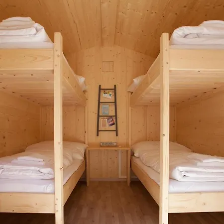 Life Camp *