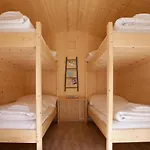 Life Camp *